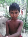 bijoy